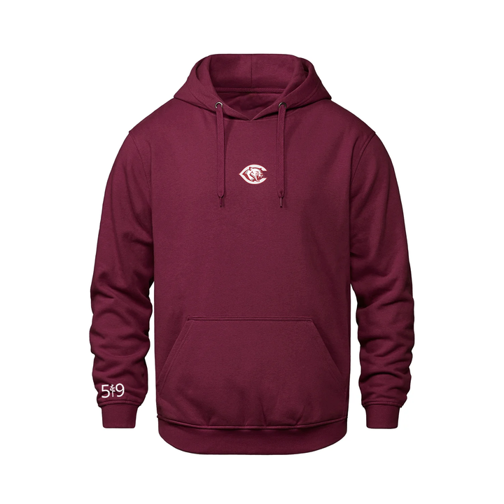 CENTRAL P.S. EMBROIDERED HOODIE (UNISEX)