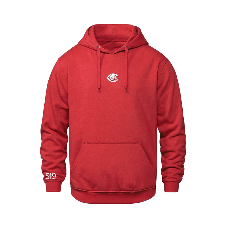 CENTRAL P.S. EMBROIDERED HOODIE (YOUTH)