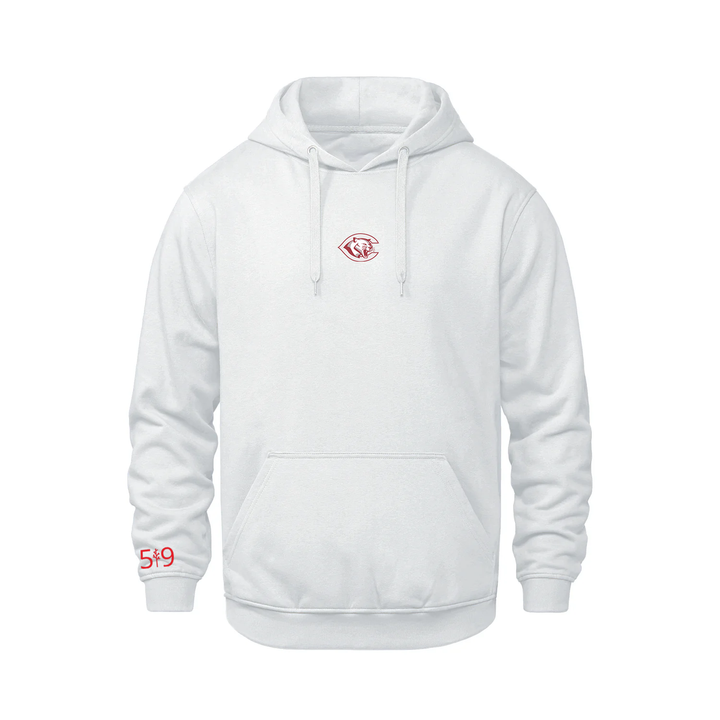 CENTRAL P.S. EMBROIDERED HOODIE (YOUTH)
