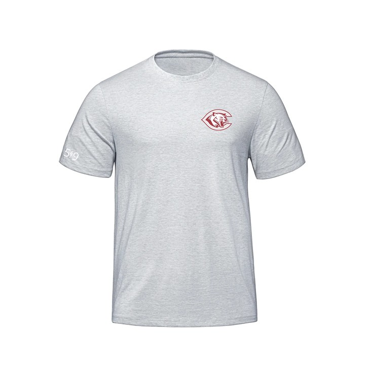 CENTRAL P.S. CLASSIC PREMIUM TEE (MENS)