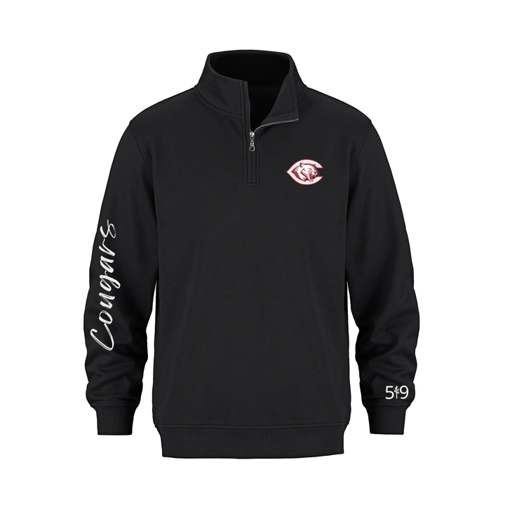 CENTRAL SIGNATURE SLEEVE 1/4 ZIP (UNISEX)