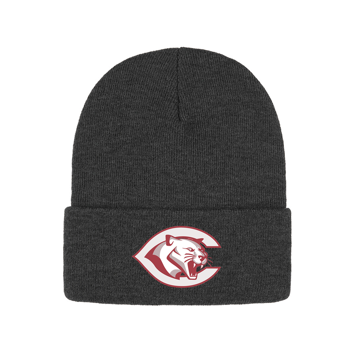 CENTRAL P.S. EMBROIDERED TOQUE
