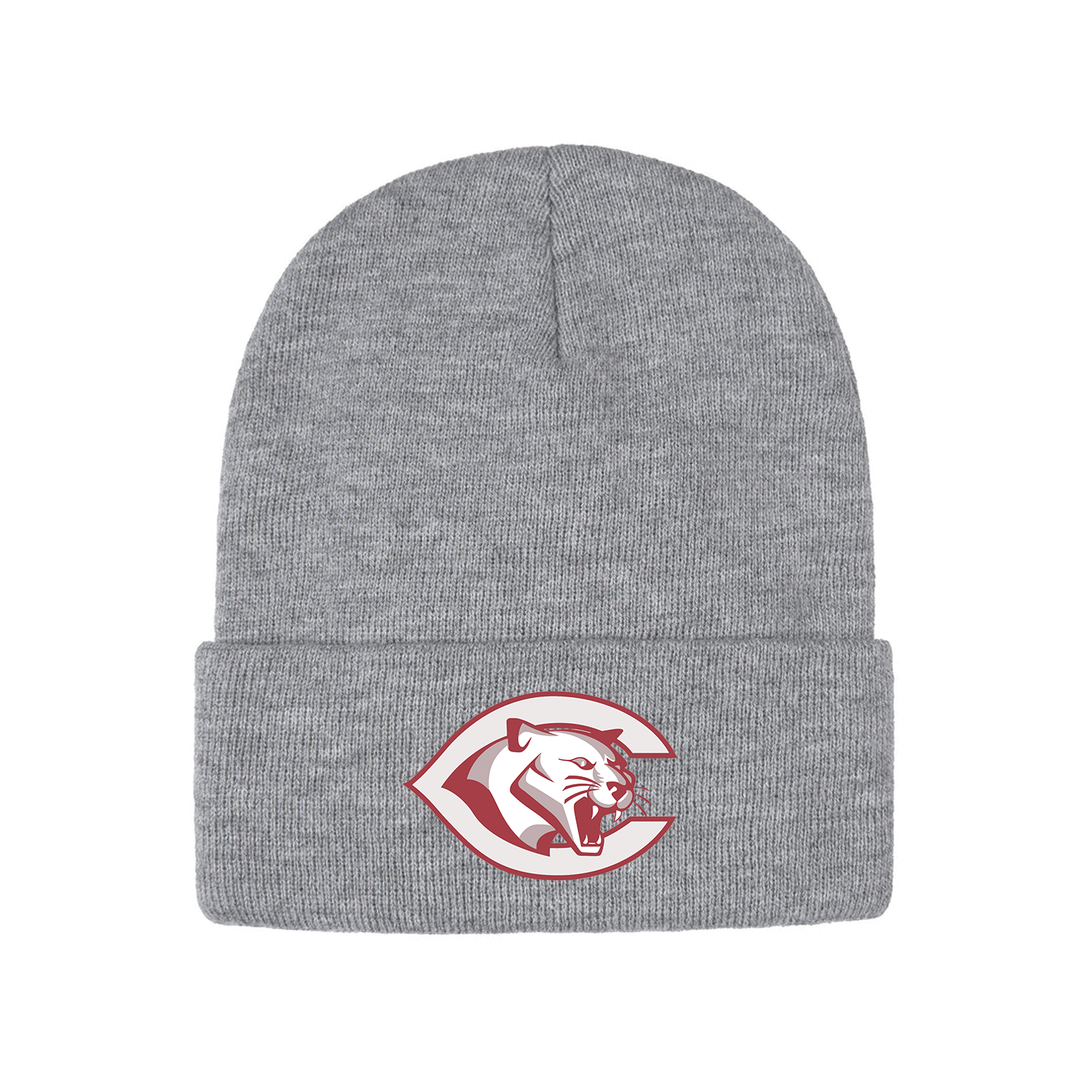 CENTRAL P.S. EMBROIDERED TOQUE