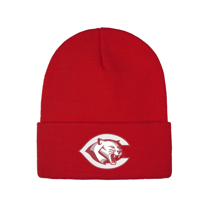 CENTRAL P.S. EMBROIDERED TOQUE