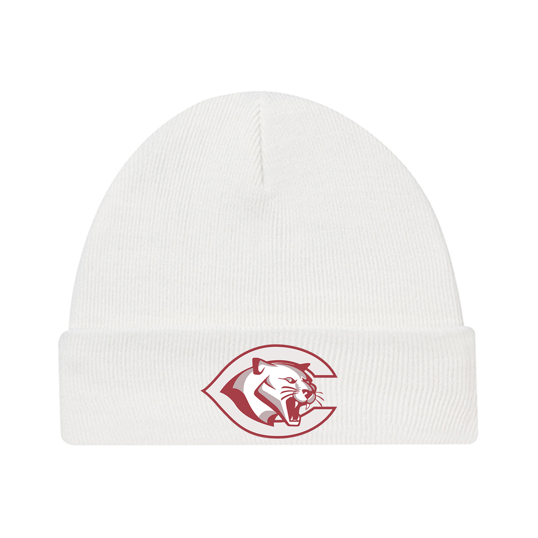 CENTRAL P.S. EMBROIDERED TOQUE
