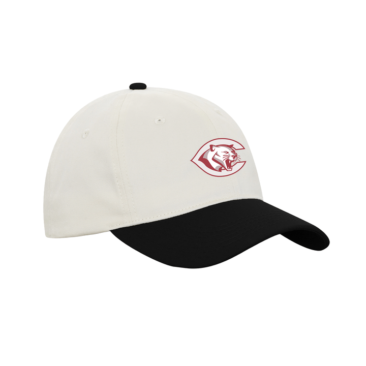 CENTRAL P.S. EMBROIDERED RETRO DAP CAP