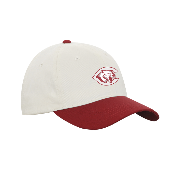 CENTRAL P.S. EMBROIDERED RETRO DAP CAP