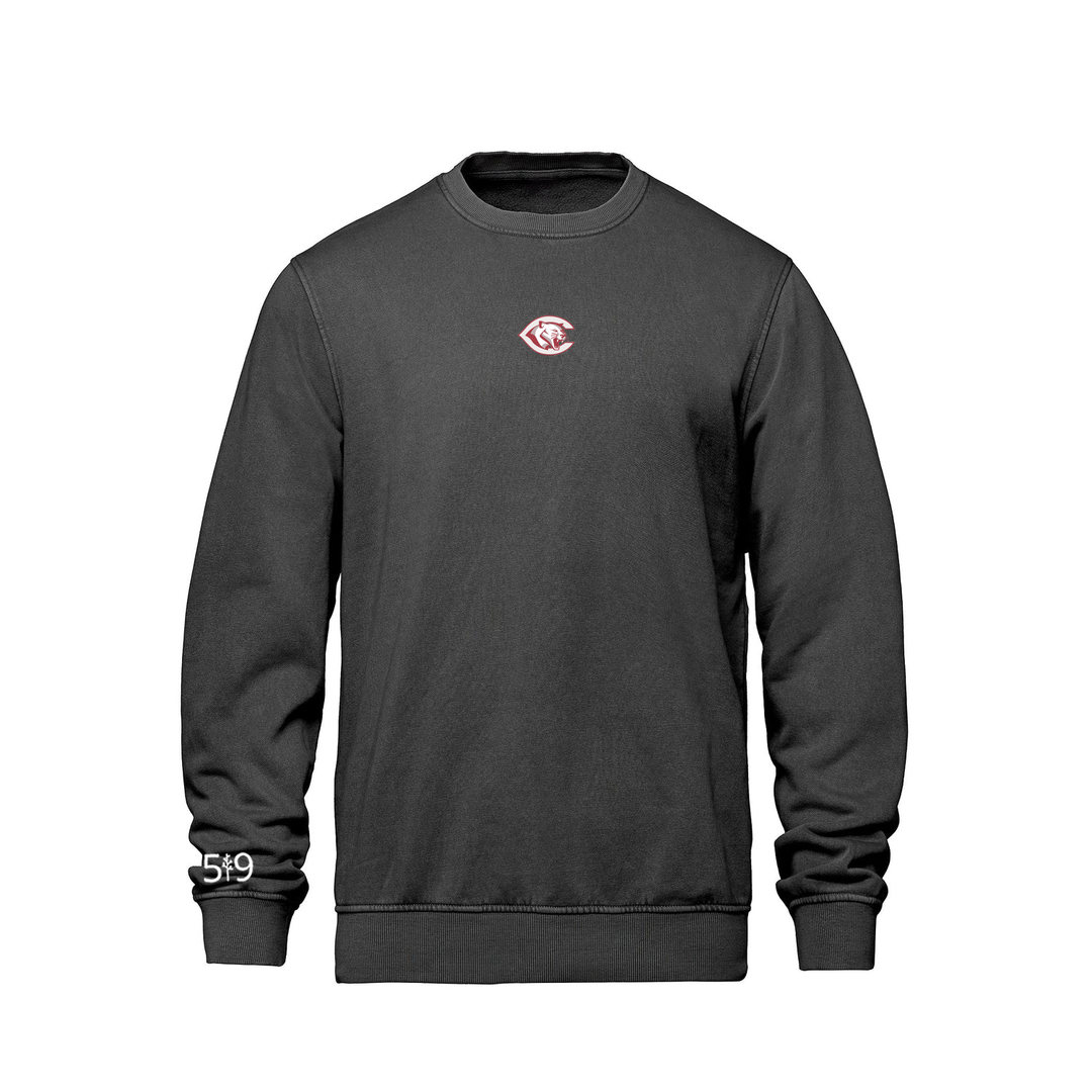 CENTRAL P.S. EMBROIDERED RETRO CREW (UNISEX)