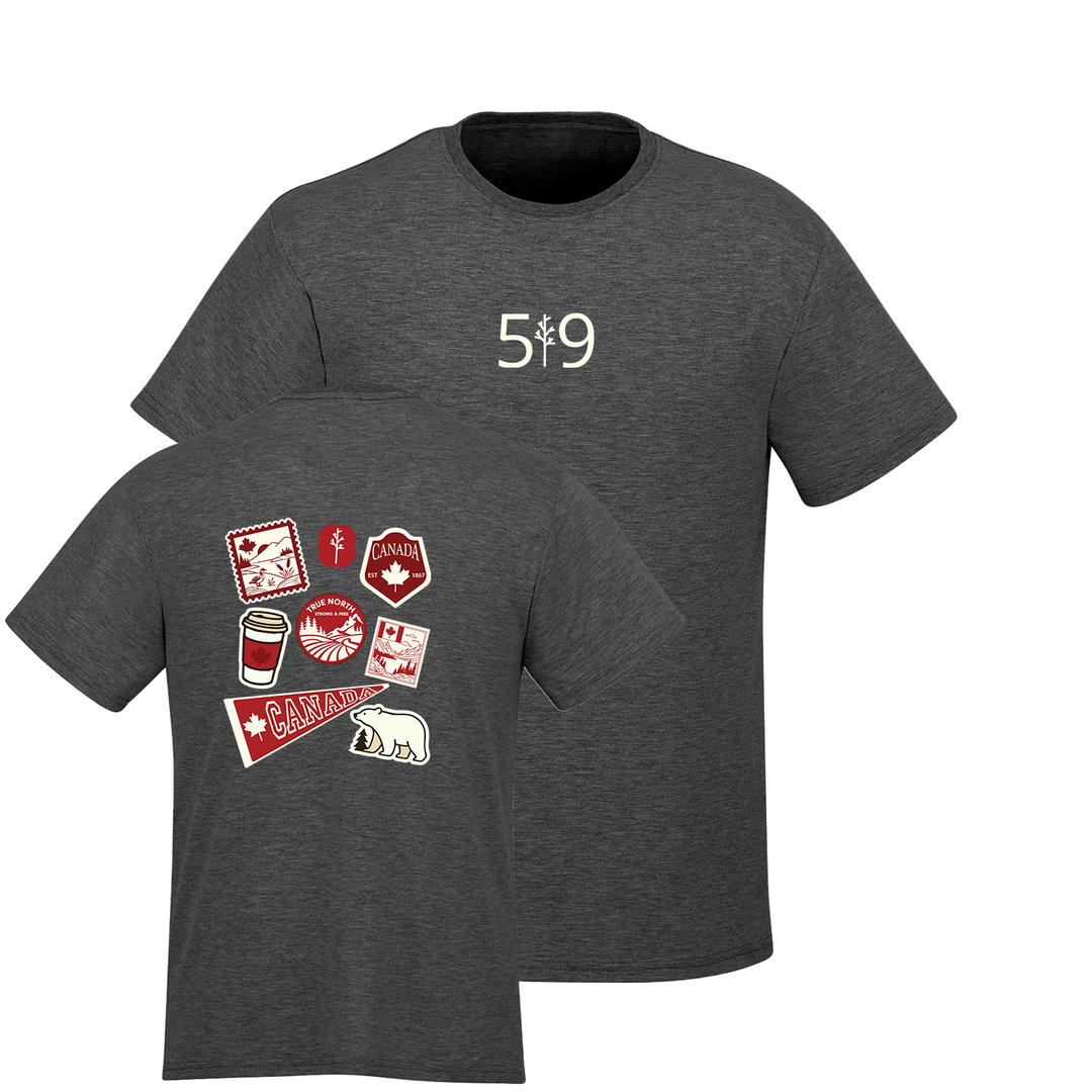 TRUE NORTH TEE (MENS)