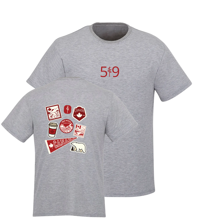 TRUE NORTH TEE (MENS)