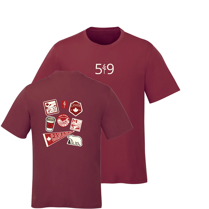 TRUE NORTH TEE (MENS)