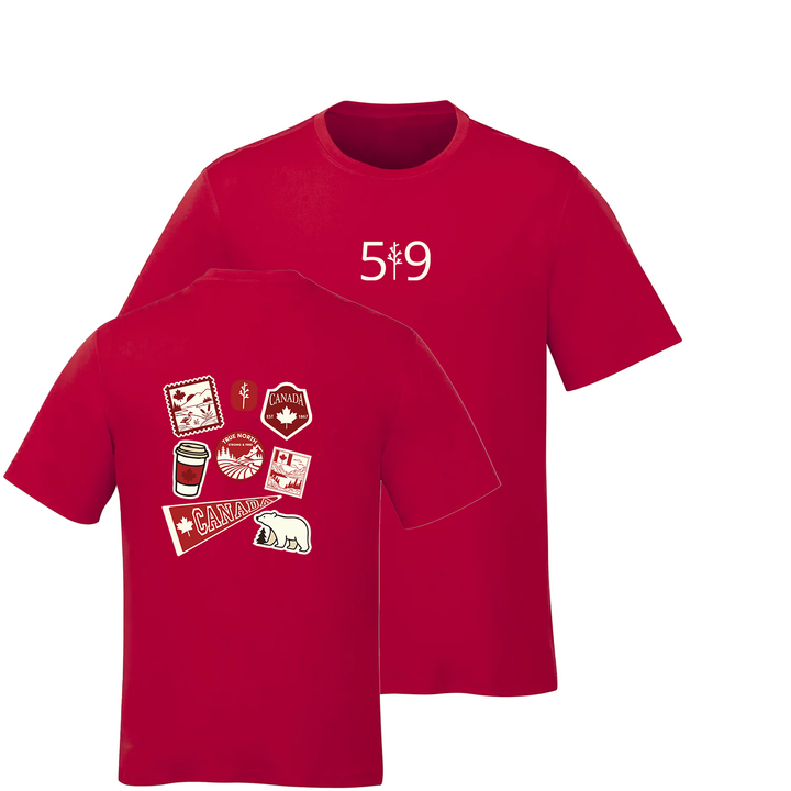 TRUE NORTH TEE (MENS)