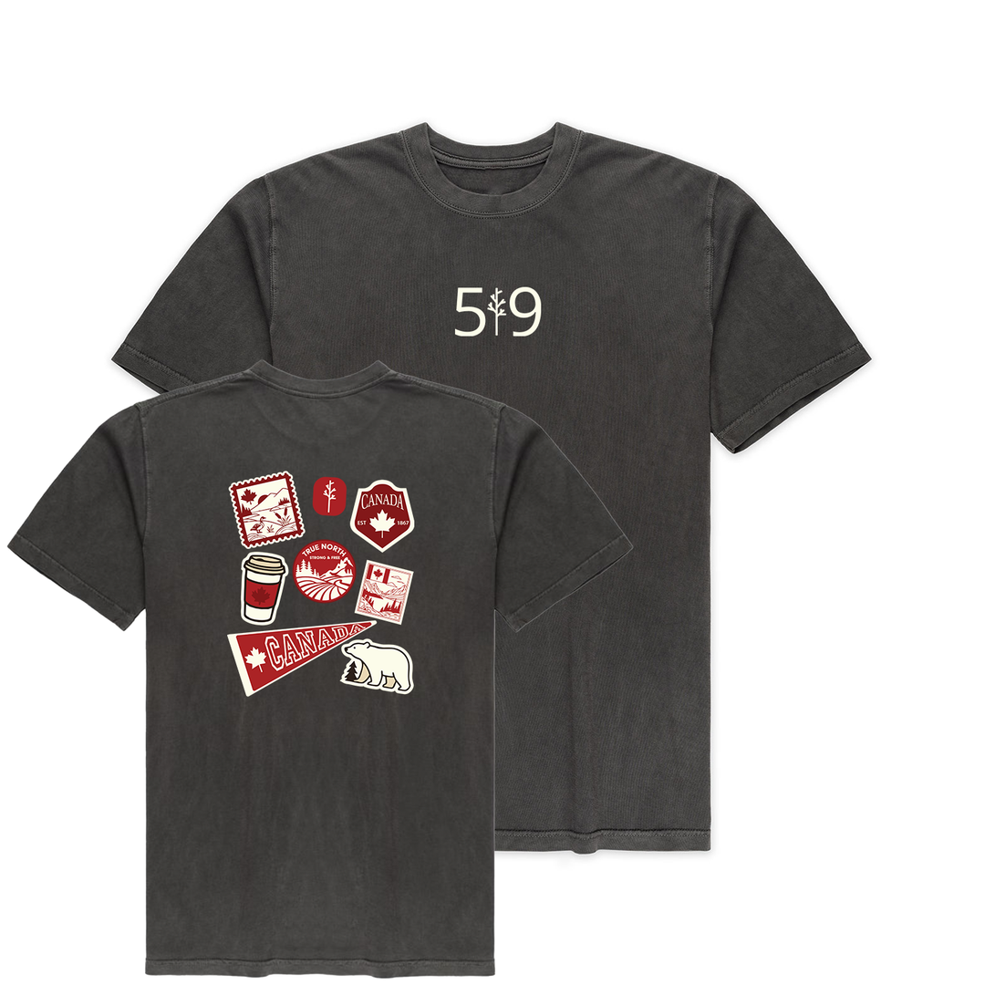 TRUE NORTH VINTAGE TEE (UNISEX)