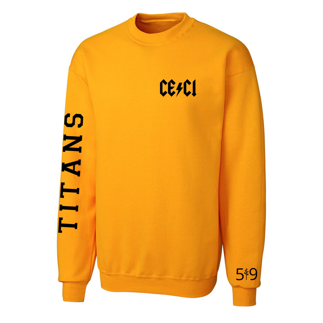 CENTRAL ELGIN SLEEVE LOGO CREW (UNISEX)