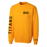 CENTRAL ELGIN SLEEVE LOGO CREW (UNISEX)