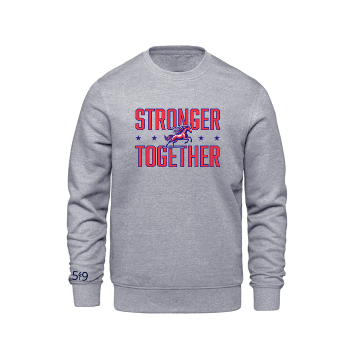DELAWARE CENTRAL STRONGER TOGETHER CREW (YOUTH)