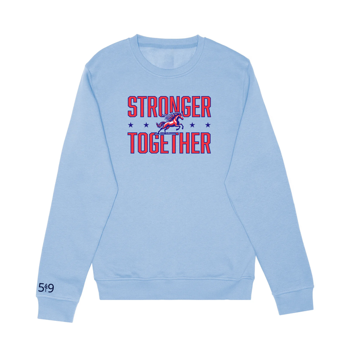 DELAWARE CENTRAL STRONGER TOGETHER CREW (UNISEX)