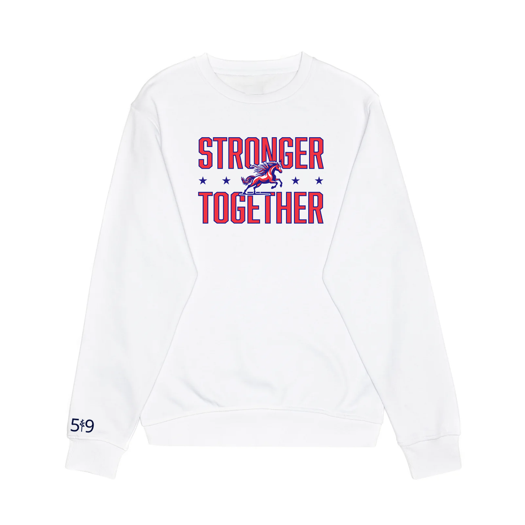 DELAWARE CENTRAL STRONGER TOGETHER CREW (YOUTH)