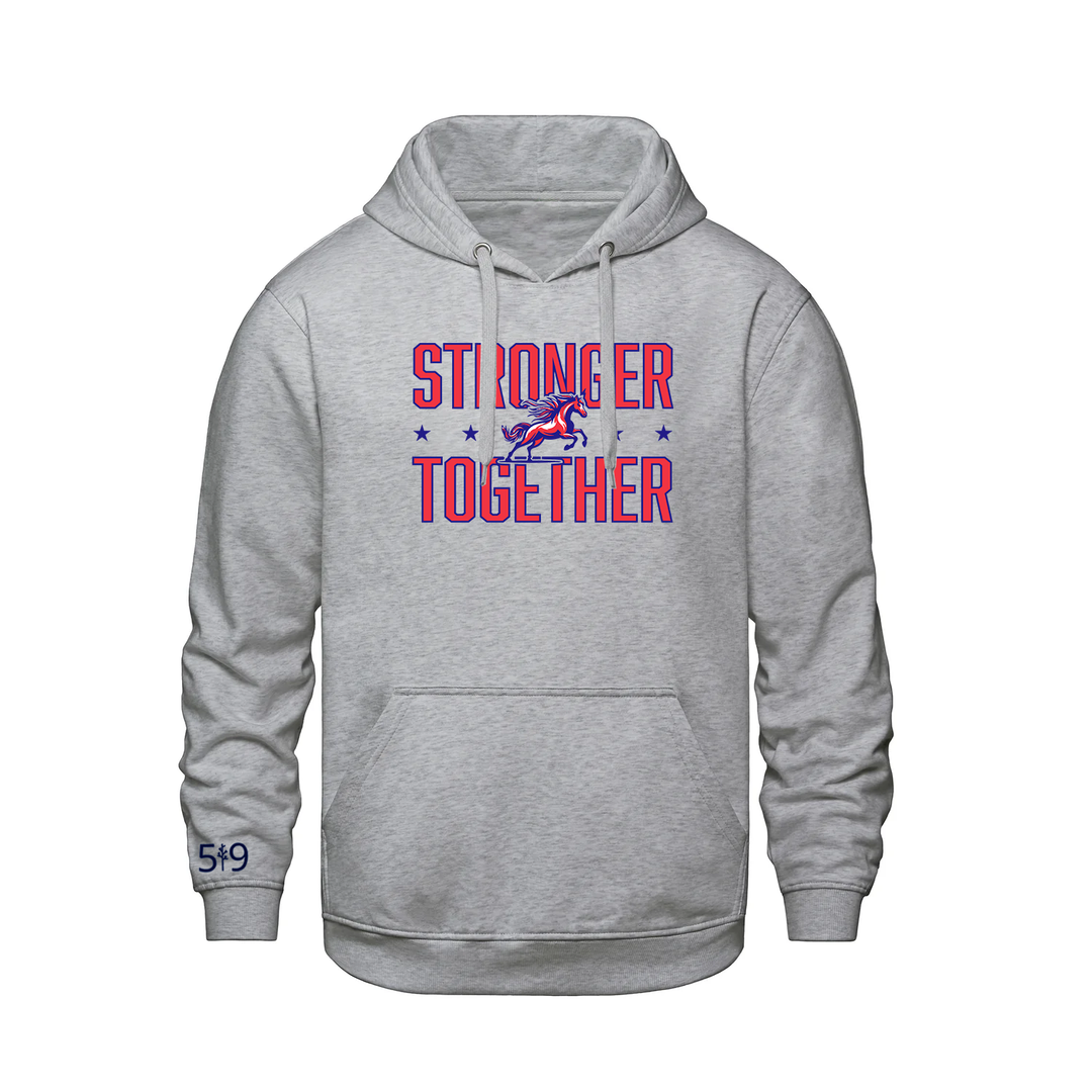 DELAWARE CENTRAL STRONGER TOGETHER HOODIE (UNSEX)