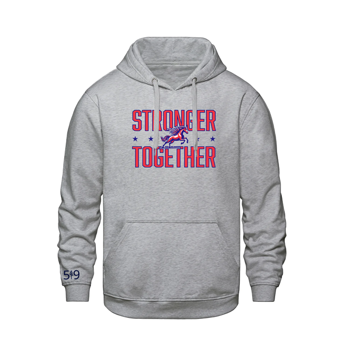 DELAWARE CENTRAL STRONGER TOGETHER HOODIE (UNSEX)