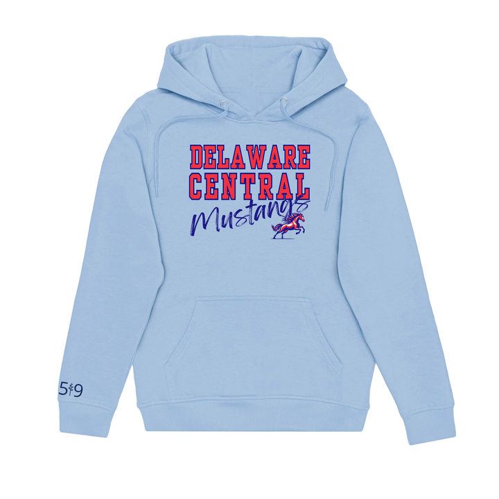 DELAWARE CENTRAL SIGNATURE HOODIE (UNISEX)