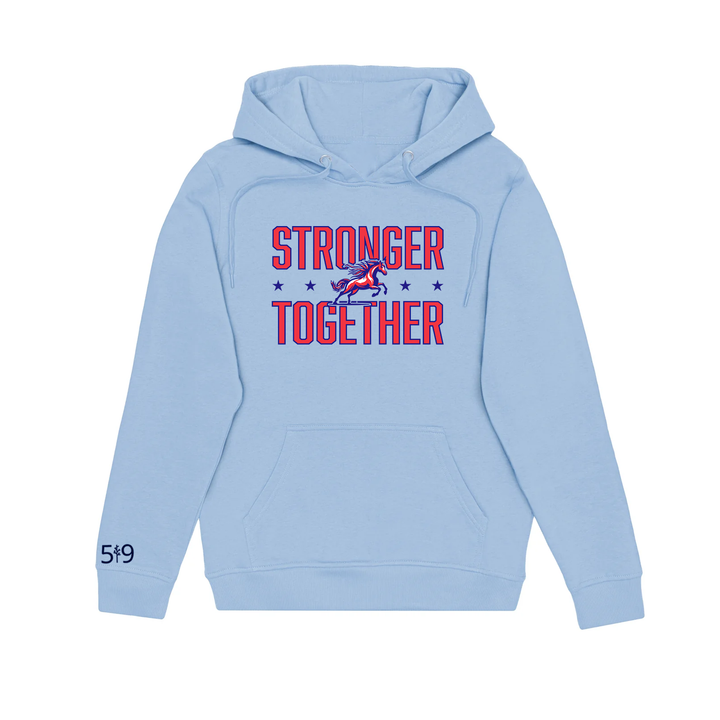 DELAWARE CENTRAL STRONGER TOGETHER HOODIE (UNSEX)
