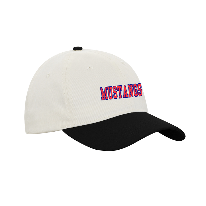 DELAWARE CENTRAL EMBROIDERED RETRO DAP CAP