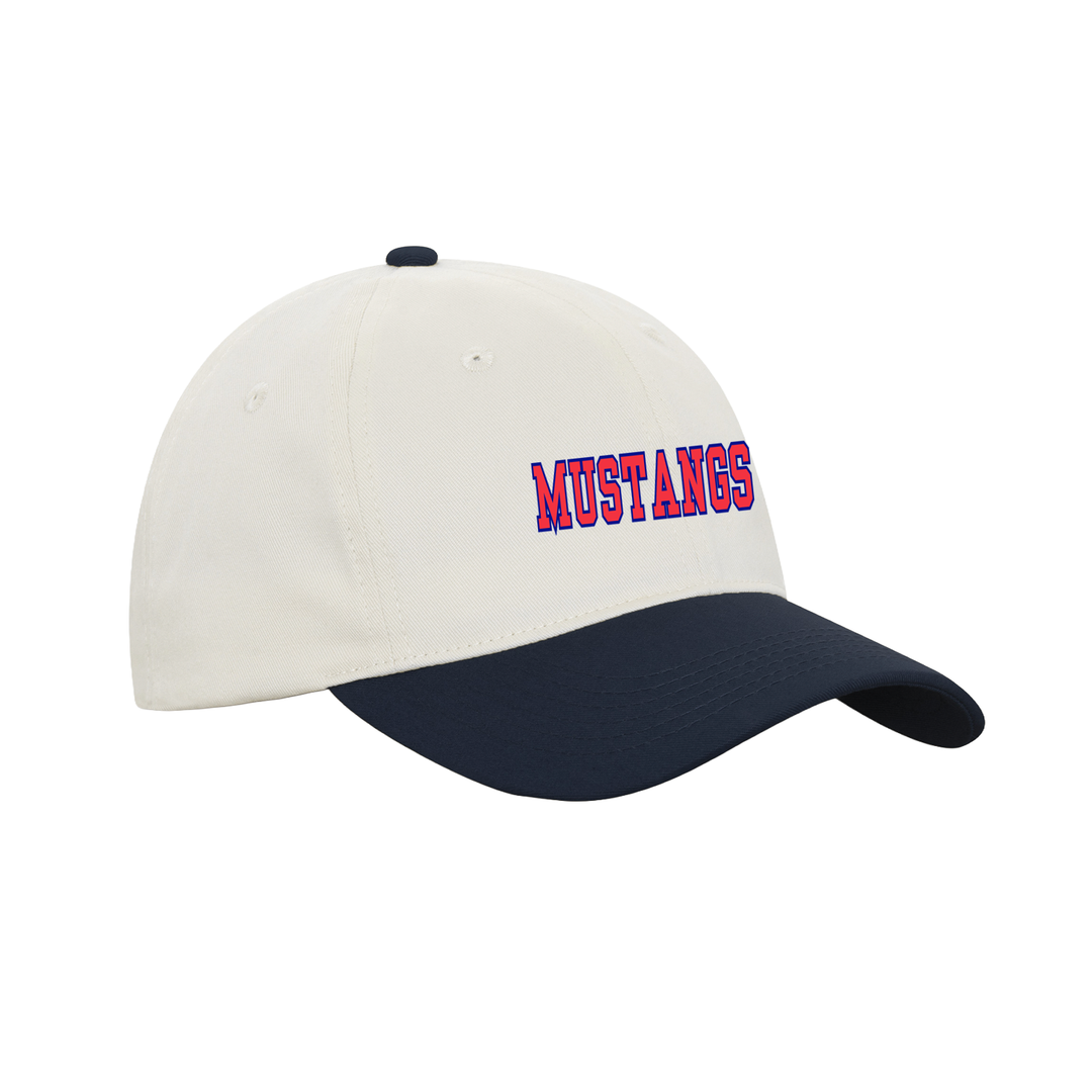 DELAWARE CENTRAL EMBROIDERED RETRO DAP CAP