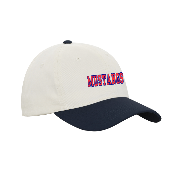 DELAWARE CENTRAL EMBROIDERED RETRO DAP CAP