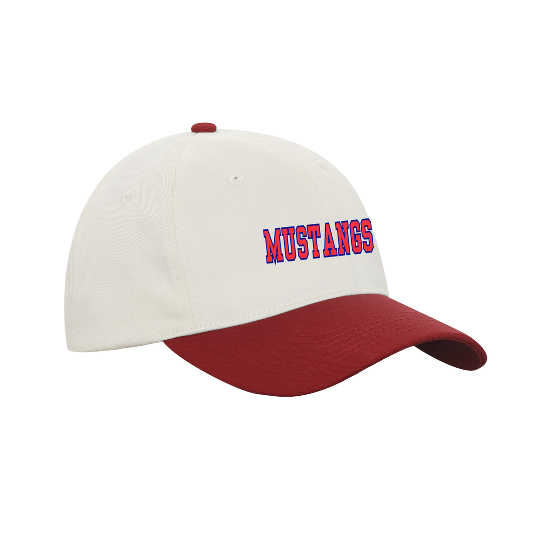 DELAWARE CENTRAL EMBROIDERED RETRO DAP CAP