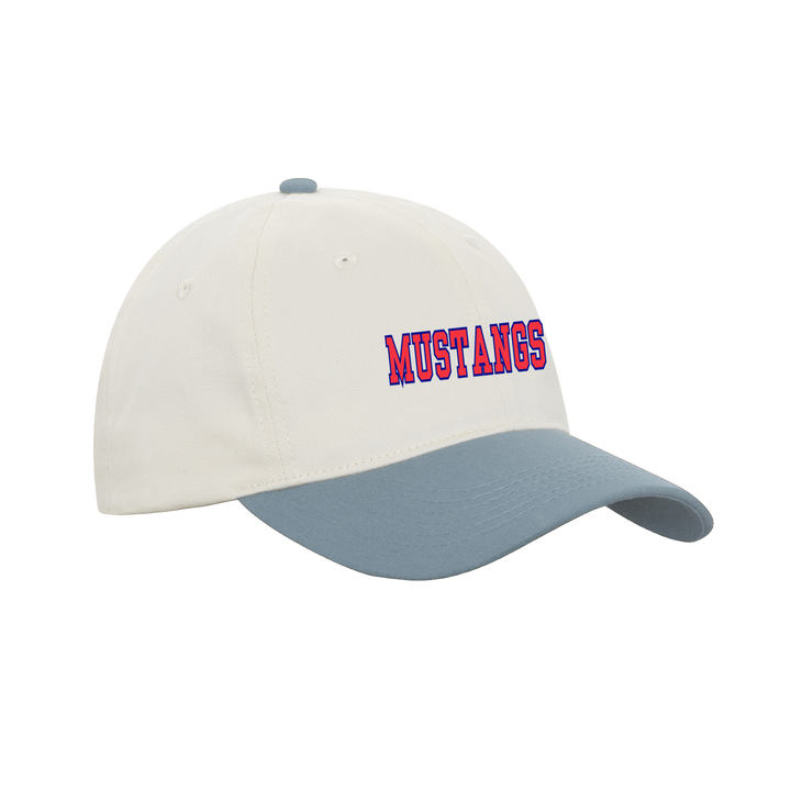 DELAWARE CENTRAL EMBROIDERED RETRO DAP CAP