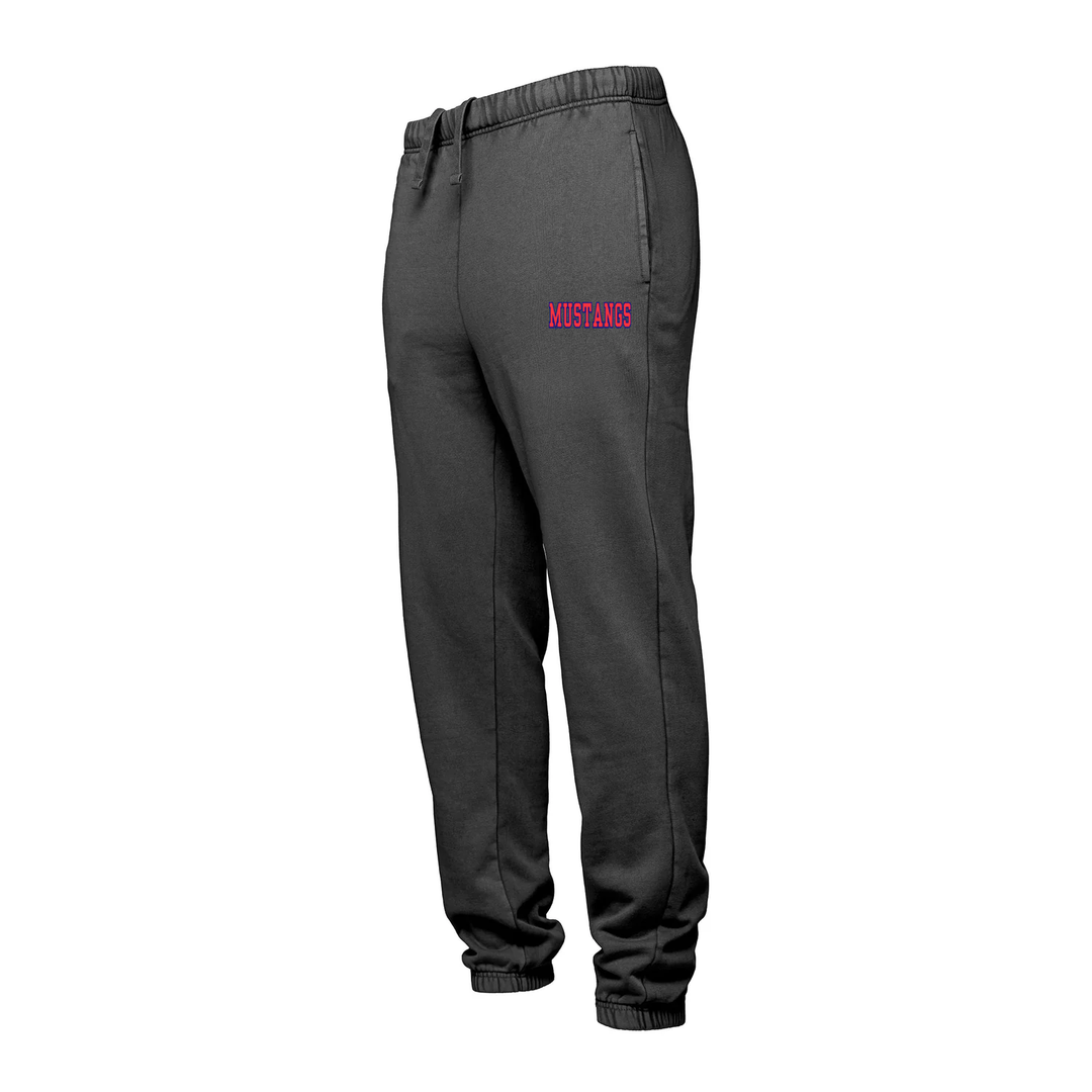 DELAWARE CENTRAL EMBROIDERED RETRO SWEATPANTS (UNISEX)