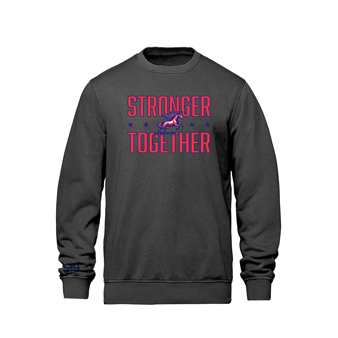 DELAWARE CENTRAL STRONGER TOGETHER RETRO CREW (UNISEX)