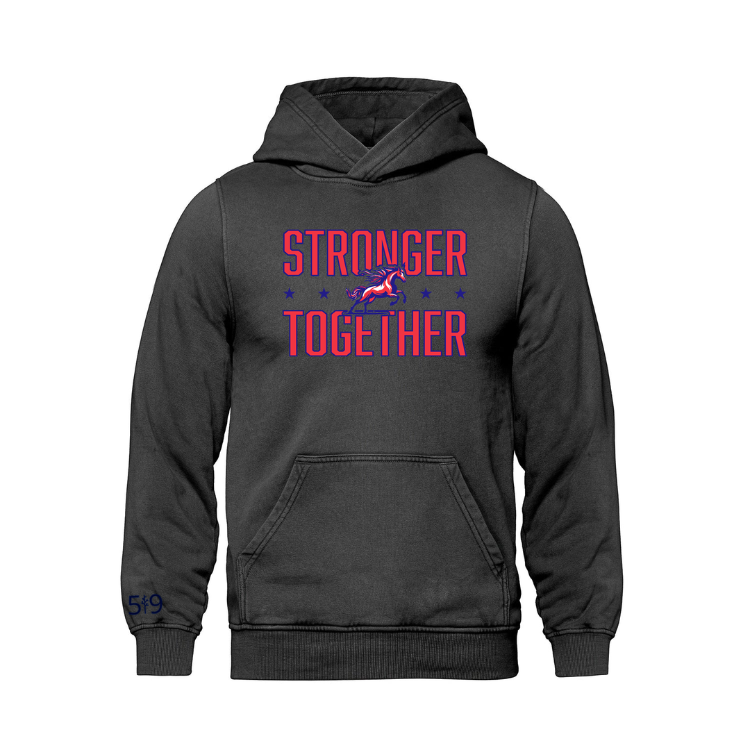 DELAWARE CENTRAL STRONGER TOGETHER RETRO HOODIE (UNISEX)