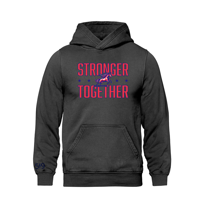 DELAWARE CENTRAL STRONGER TOGETHER RETRO HOODIE (UNISEX)