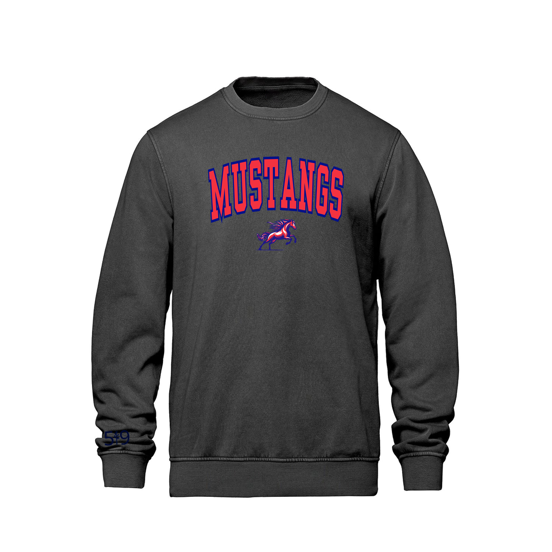 DELAWARE MUSTANGS VARSITY RETRO CREW (UNISEX)