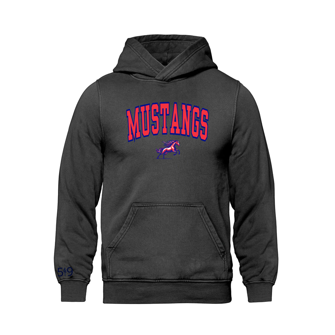 DELAWARE MUSTANGS VARSITY RETRO HOODIE (UNISEX)