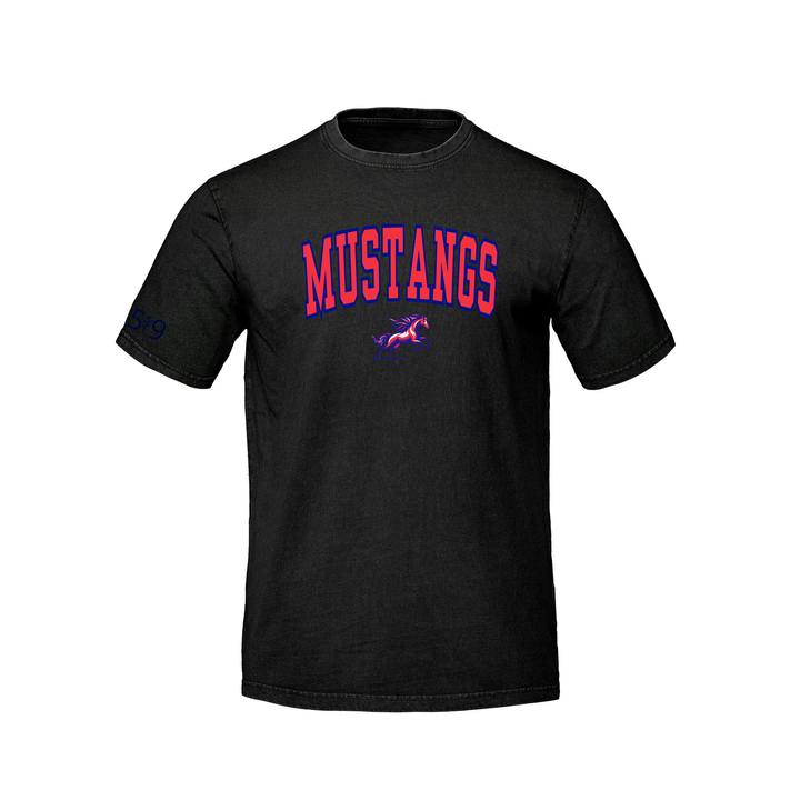 DELAWARE MUSTANGS VARSITY RETRO TEE (UNISEX)