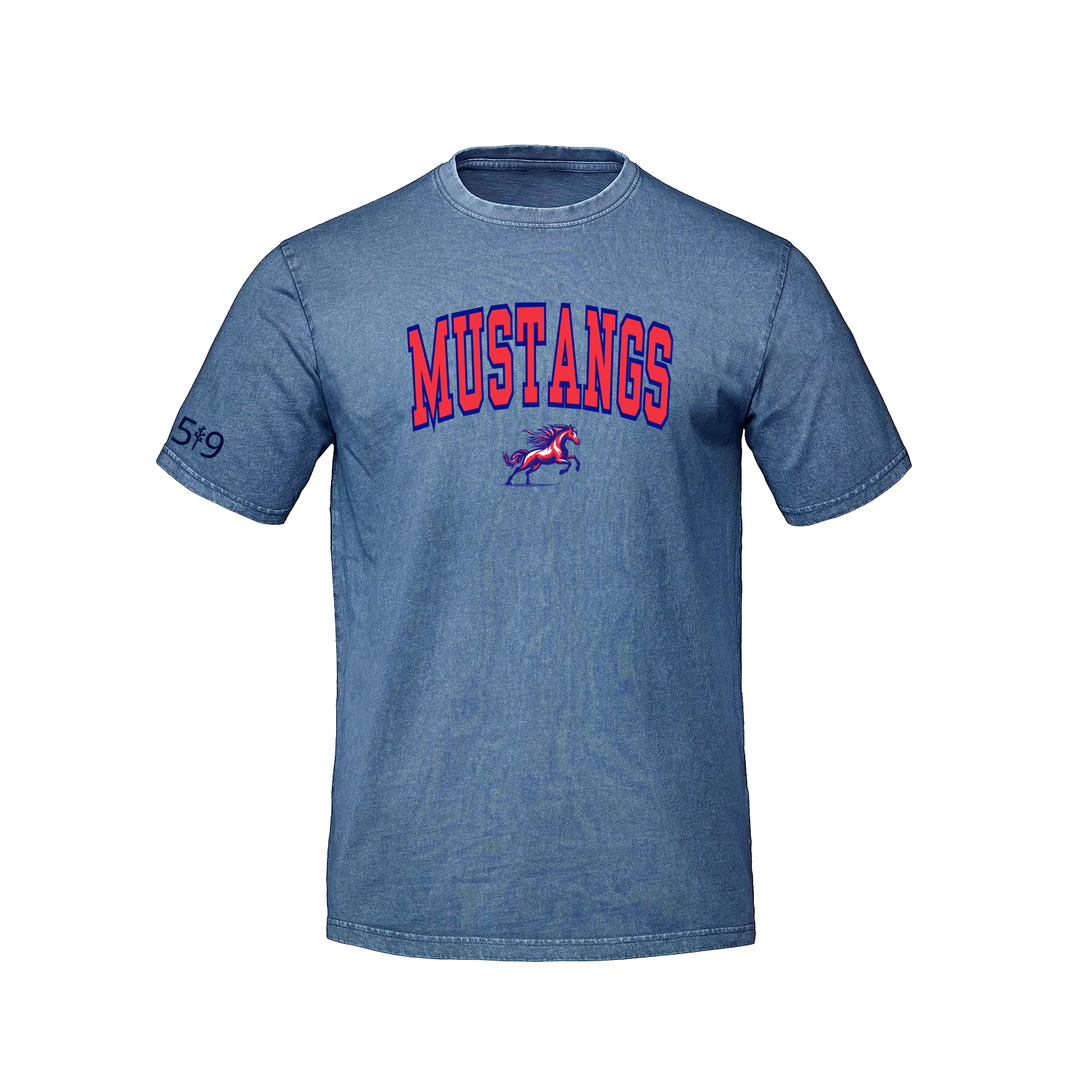DELAWARE MUSTANGS VARSITY RETRO TEE (UNISEX)