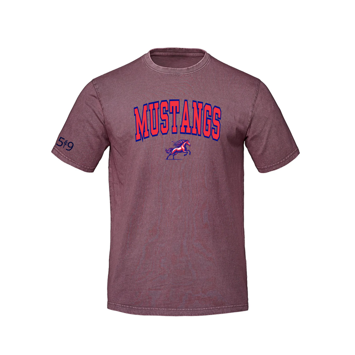 DELAWARE MUSTANGS VARSITY RETRO TEE (UNISEX)