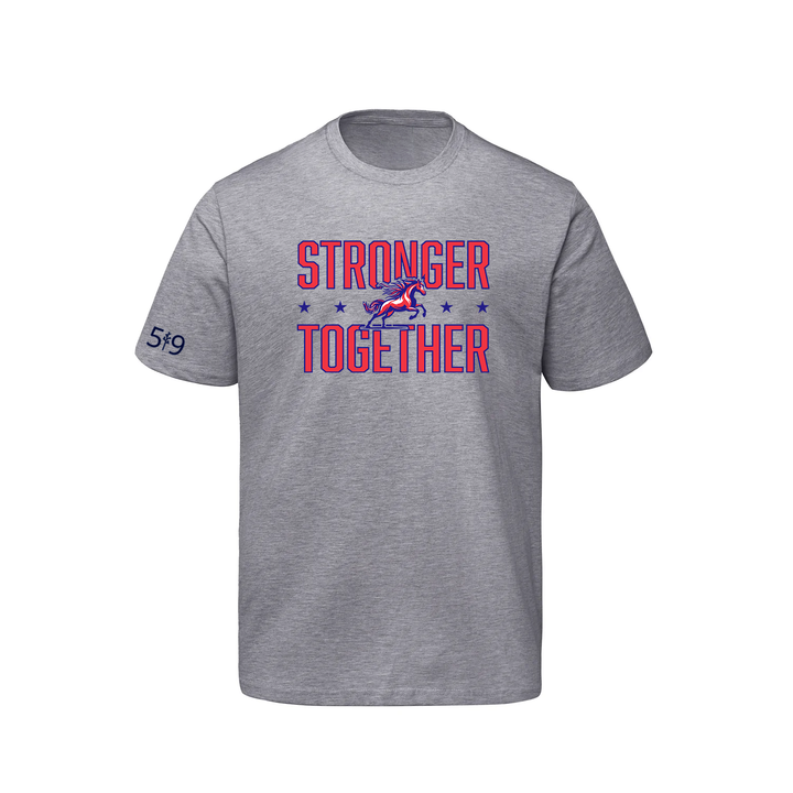 DELAWARE CENTRAL STRONGER TOGETHER TEE (YOUTH)