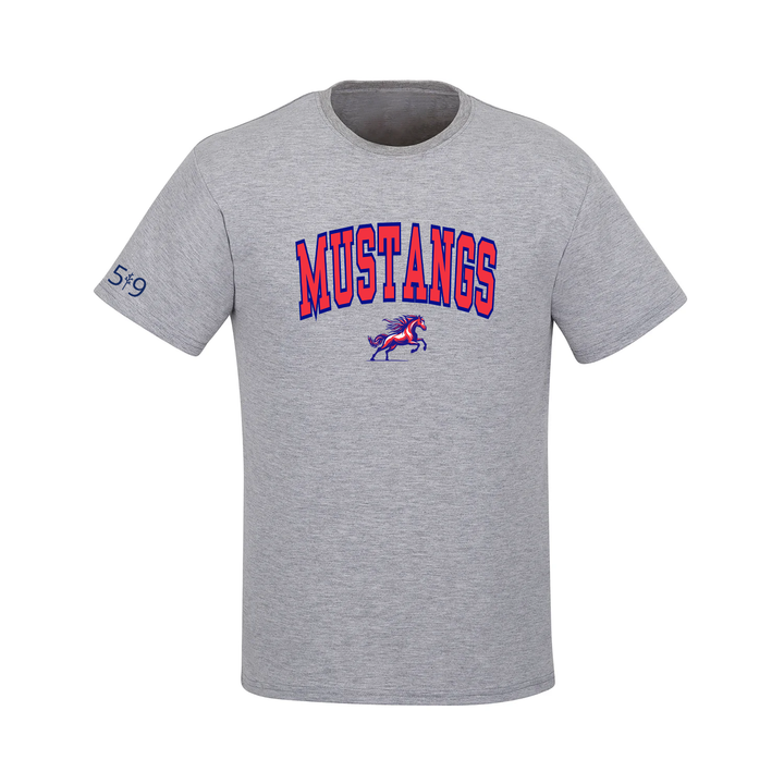 DELAWARE VARSITY TEE (MENS)
