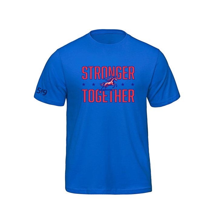 DELAWARE CENTRAL STRONGER TOGETHER TEE (MENS)