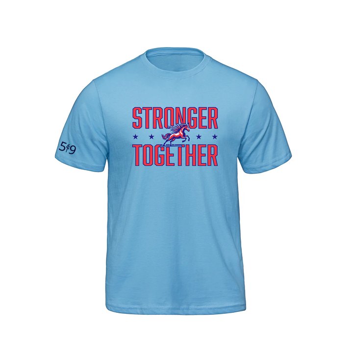 DELAWARE CENTRAL STRONGER TOGETHER TEE (YOUTH)