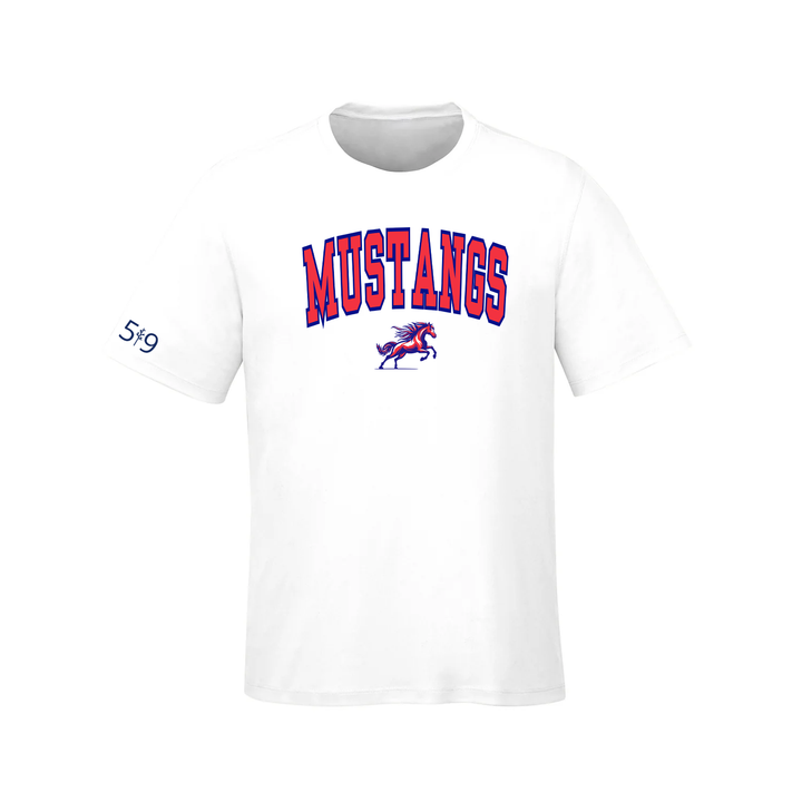 DELAWARE VARSITY TEE (MENS)