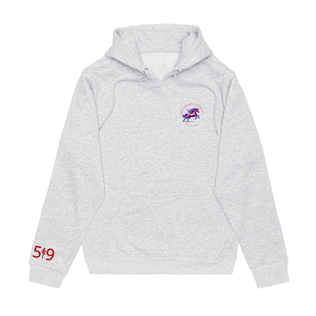 DELAWARE CENTRAL CLASSIC HOODIE (UNISEX)