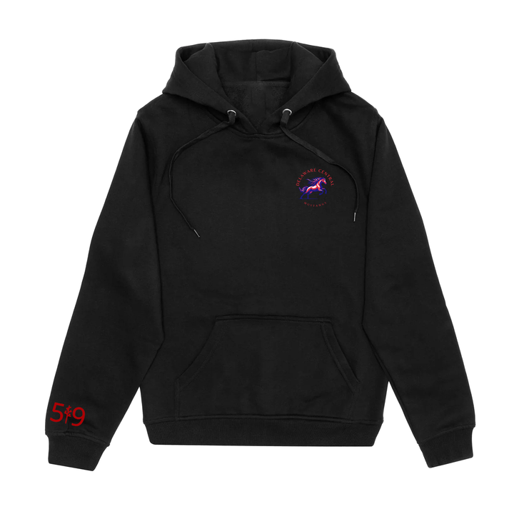 DELAWARE CENTRAL CLASSIC HOODIE (UNISEX)