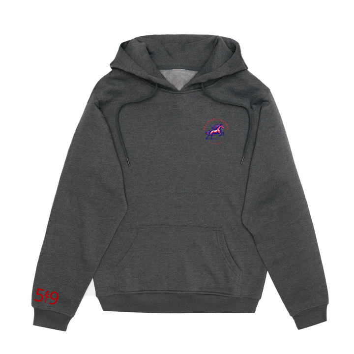 DELAWARE CENTRAL CLASSIC HOODIE (UNISEX)