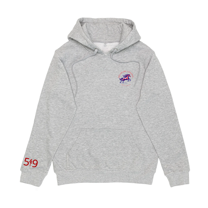 DELAWARE CENTRAL CLASSIC HOODIE (UNISEX)