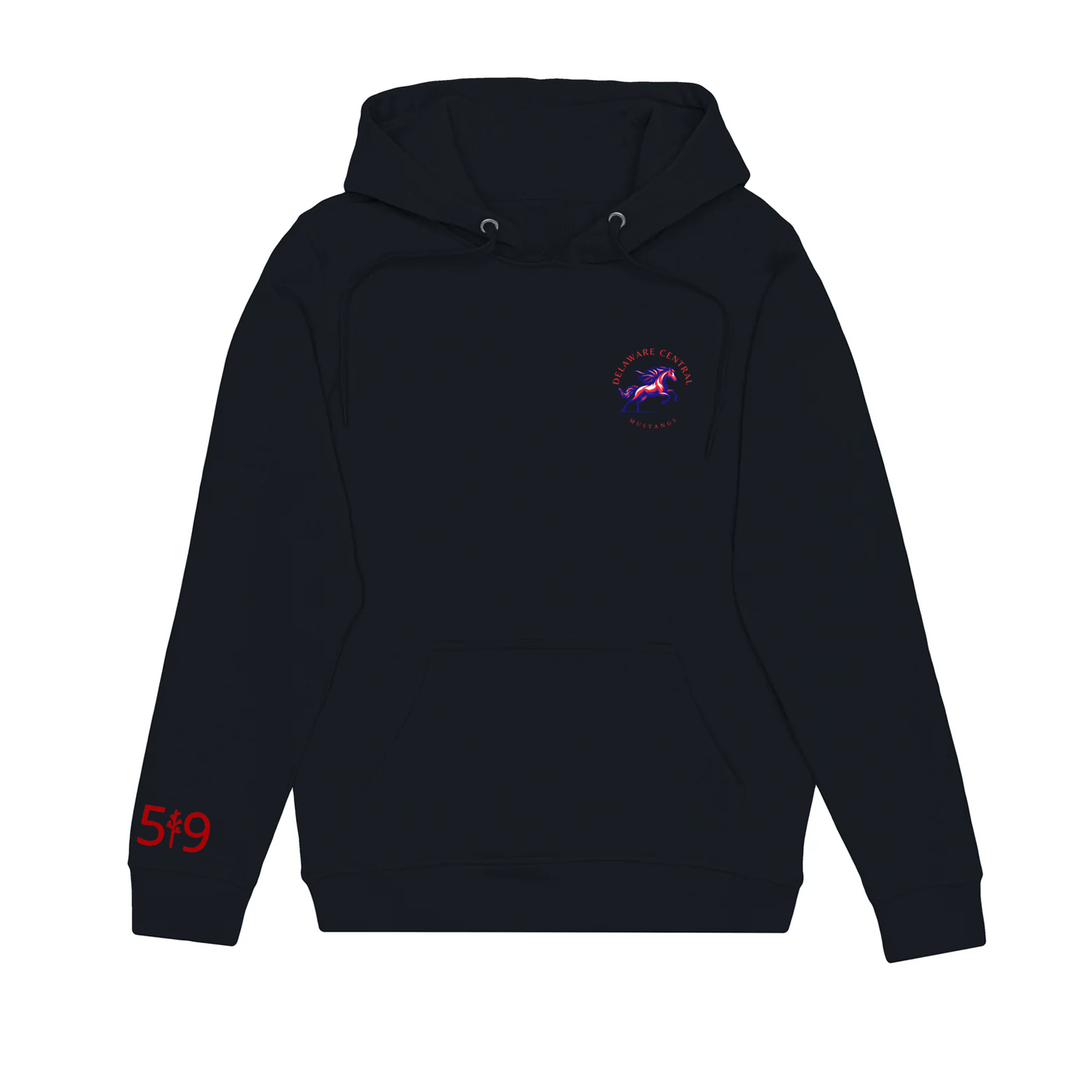 DELAWARE CENTRAL CLASSIC HOODIE (UNISEX)